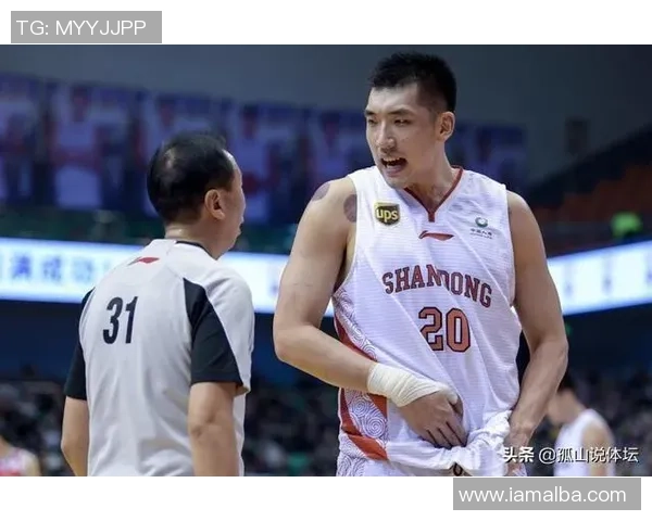 陶汉林：从篮球场的拼搏者到社会责任的践行者的成长之路